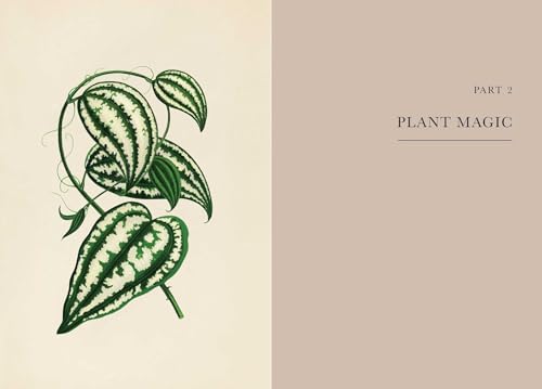 A Practical Guide to Magic in Nature - Image 11