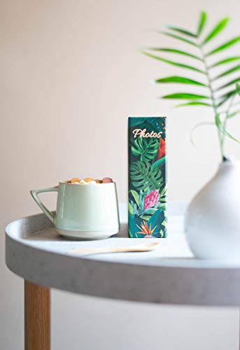 Grupo Erik Fotoalbum Einsteckalbum 10x15 Disney Der König der Löwen Simba Nature - Foto Einsteckalbum 10x15 - Fotobuch für 100 Fotos - Photo Album 10x15