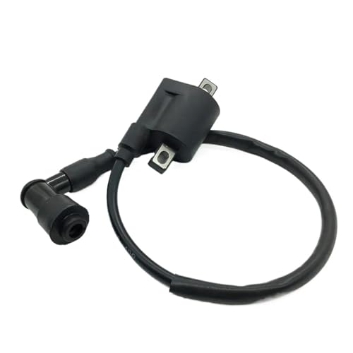Bobine d'allumage haute pression D8TC pour moteur thermique ZJ 125cc