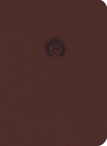 Bíblia de Estudo da Fé Reformada - Capa Luxo Vinho e Estojo