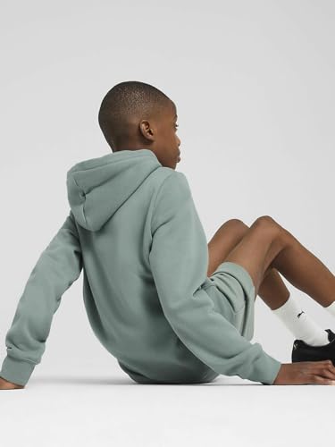 Sweat shirt enfant Puma Ess 2 color no. 1 logo hoodie fl b - vue 5