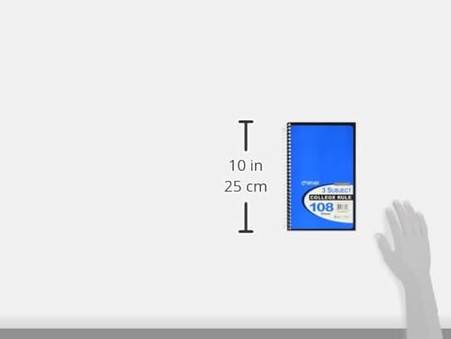Amazon.com : Top Flight Standards 3-Subject Wirebound