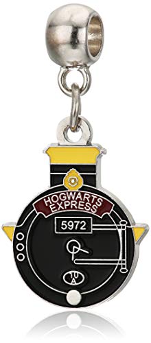 Preisvergleich Produktbild HARRY POTTER Hogwarts Express Slider Charm