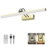RAIFOOLLY Picture Light,Picture Lights for Wall Cordless,16' Picture Lights with Timer and Dimmable,Battery Wall Lights for Display Gallery Painting Art Frame Portrait(GD+BK)