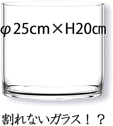 Miniatura 2 de FOYER 2300142 Unbreakable Vase, Flower Base, Polycarbonate, Stylish, Height 7.9 inches (20 cm), Width 9.8 inches (25 cm), Small
