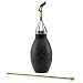 Ivation Bulb Duster Insecticide Sprayer – Handheld, 12" Extendable Applicator for Pesticides, Diatomaceous Earth & Other Home Powder Applications – Non-Toxic, All-Natural Bugs & Pest Control – Large