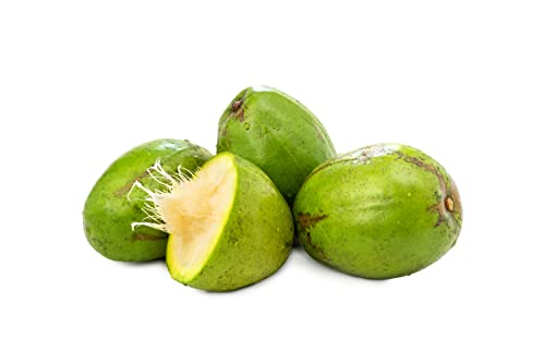 Fresh June Plum Ambarella Jobo Fruit Spondias Dulcis (3lb)