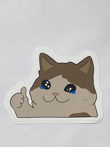 ANHGLORYPAPER Pack 3 Crying Cat Vinyl Sticker Sad Cat Meme Decal Waterproof Sticker 3''