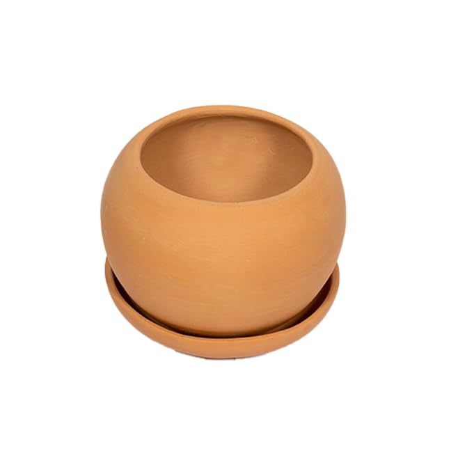 Village Decor Terracotta/Clay Apple Shape Planter with Bottom Tray|Pack od 1 Piece|Height - 5.5 Inch (B08MTHYHRH) Amazon Price History, Amazon Price Tracker