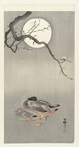 Poster Ohara Koson fleurs de cerisier sur toile d'art durable