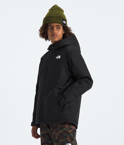 THE NORTH FACE Jaqueta masculina Freedom isolada, TNF preta, média