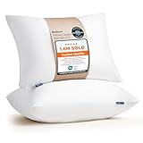Bedsure Standard Pillows Size Set of 2 - Bed Pillows Standard Size for Sleeping, Soft and Supportive, Hotel Quality, Original Down Alternative Filling for Side, Back Sleepers, 2 Pack