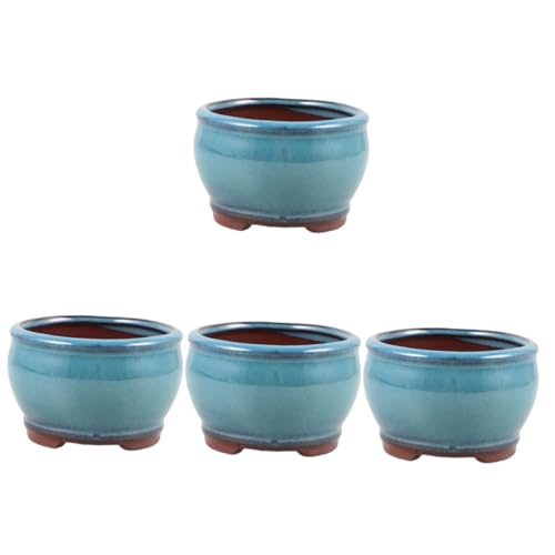 Kisangel 4 Uds Planta En Maceta De Espárragos Suculentos Decoración Floral Macetas Decoraciones Maceta De Planta Suculenta Maceta De Cerámica Maceta Decorativa Maceta De