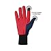 FOCO New Orleans Pelicans NBA Colored Texting Utility Gloves