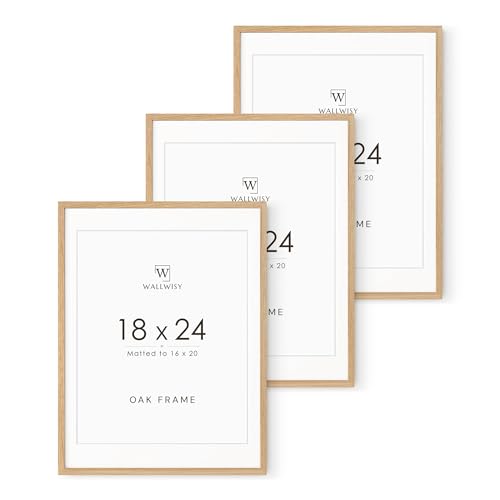 Photo 1 of 18x24 Poster Frame