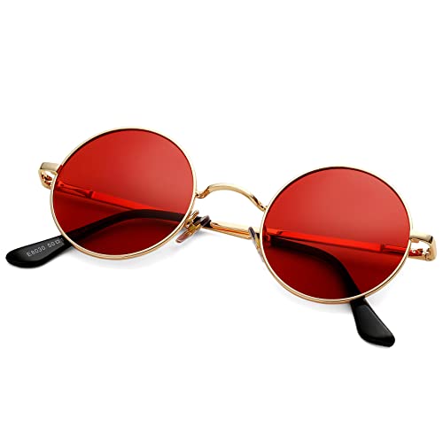 Image of Pro Acme Small Round Polarized Sunglasses for Women Men Retro Metal Shades
