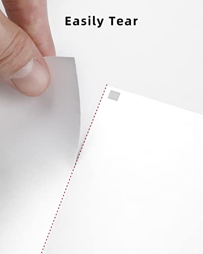 Image of Phomemo US Letter Thermal Printer Paper,Continuous Phomemo M08F Thermal Paper,Compatible with M08F-Letter, M08D, TATTMUSE A285M, with Brother Letter Portable Printer, Size 8.5 inch x 11 inch,200 Sheets