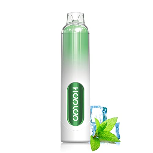 HOOLOO-Disposable-Vape-Pen-E-Cigarette-Starter-Kit-6500-Puffs-Rechargeable-Prefilled-Vape-Juice-Prefilled-and-Precharged-E-Cigarettes-Vape-Starter-Kit0mg-No-Nicotine-Mint