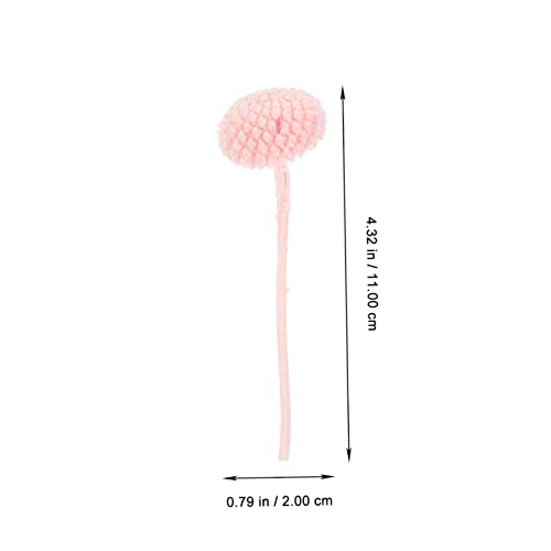 Flores Secas Mini Naturales 50 Piezas para Manualidades miniatura 5