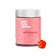 Jelly Pills Echinacea + Vitamin C – 70 vegane Gummies – Ohne Zuckerzusatz – Orangengeschmack – Unterstützung für Immunsystem & Abwehrkräfte