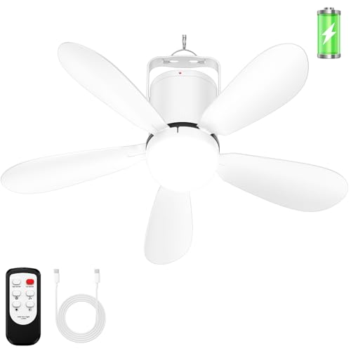 ZIZIWIN 21” Battery Operated Ceiling Fan Light,...