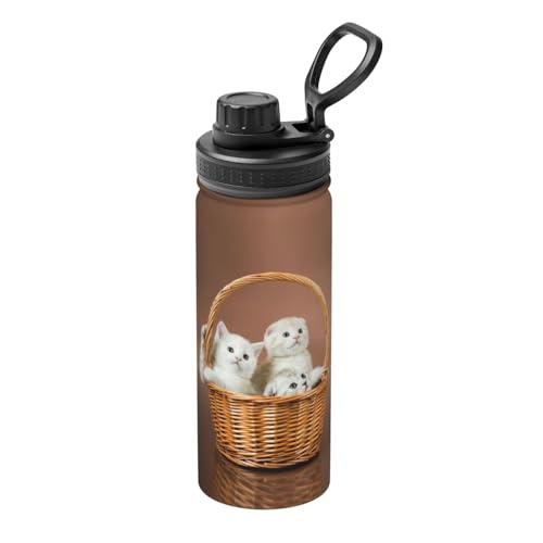  L 500ml XeX{g  ۉۗ }O{g L[nht ^ѕ֗  킢 v[g