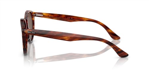 Ray-Ban RB7680S Larry Round Sunglasses3