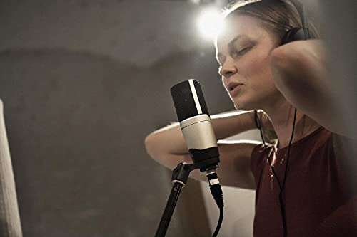 Image of Sennheiser Mk 4 Large Diaphragm Condenser Xlr Microphone| True Condenser Capsule | Low Self-Noise | 20Hz 20Khz | Ideal For Vocals, Instruments, Voice Over & Broadcast Applications