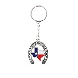 SandT Collection Texas Souvenir Keychain - Texan Flag Key Ring (Horseshoe)