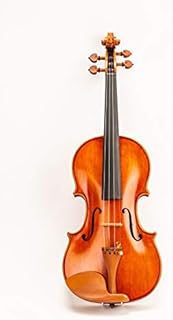 D Z Strad Violin Model 350 with Case, Bow, Dominant strings, Rosin and Shoulder Rest