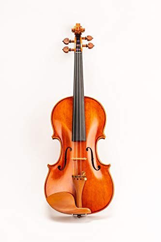 D Z Strad Violin Model 350 with Case, Bow, Dominant strings, Rosin and Shoulder Rest