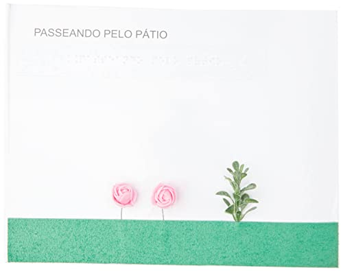 Passeando pelo pátio – livro acessível: