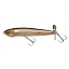 FA Golden Ghost Shiner