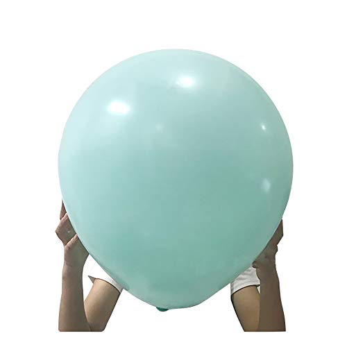 Lumierechat o[ D  傫 24C` 60p }J pXeJ[ a  10 a-b228(}JO[)