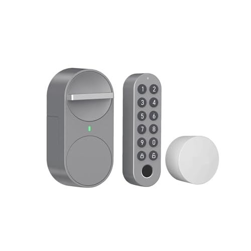 �X�}�[�g�h�A���b�N DIY �L�[���X�G���g���[ Tuya �A�v�� �A �w��p�X���[�h���b�N�Ή� ���z����(3-in-1 G30)