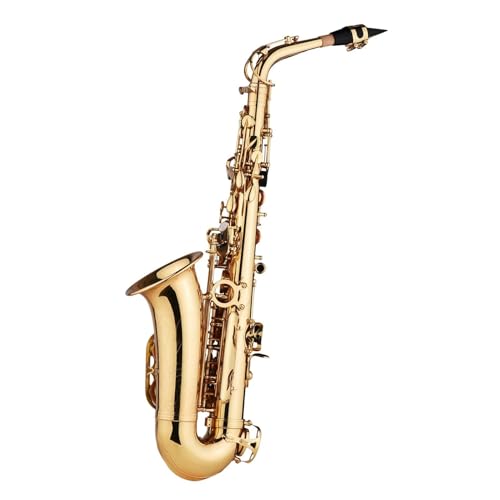 TbNX Eb Be Ag E tbg ^JTbNX \ʂɒ͗l ▭Ȏ z uV Xgbvt(Gold)