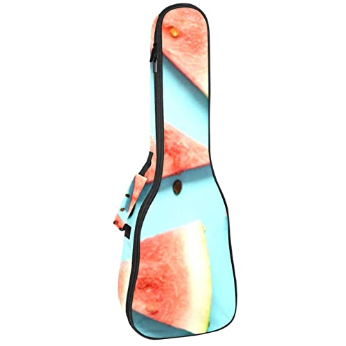 Sac pour ukulélé rembourré anti-choc et imperméable pour protéger votre instrument