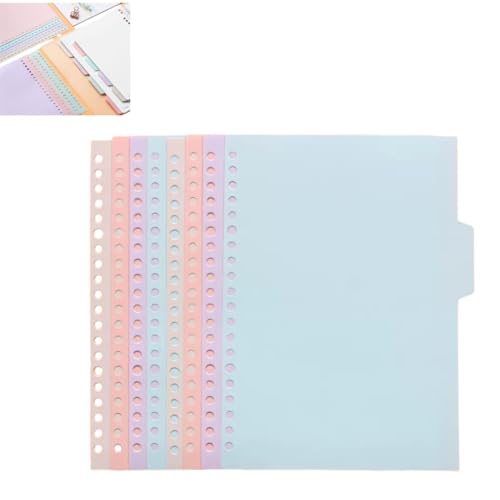 a5 20穴 PP製 仕切りカード 8枚 A5 20穴/B5 26穴/A4 30穴 4色 ラベルタブ付き ファイル整理 オフィス 学校 家庭用 文房具 ノート バインダー 分類 整理整頓 見やすい 盛り上がりデザイン 耐摩耗性 厚手 PP素材 カラー分け