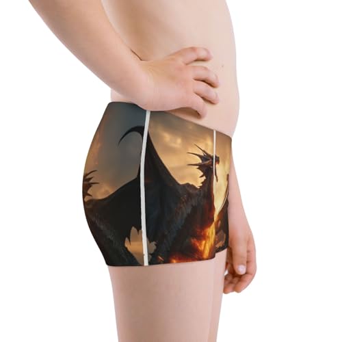 Boys' Cotton Boxer Brief Soft Underwear-Castle Cool Fire Dragon2