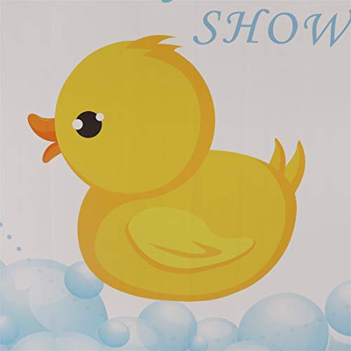 Professional Photography Backdrop System
