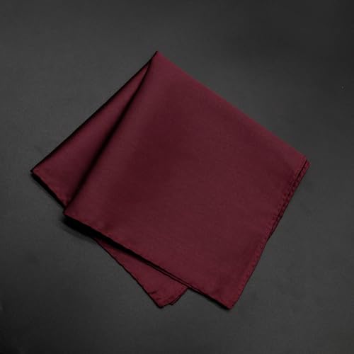 Image of Satin Mens Pocket Square with Holder, 11.8'' Suit Handkerchiefs for Men Wedding Business Casual