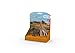Schleich Wild Life, Safari Animal Toys for Kids Ages 3+, 6-Piece Mom and Baby Wild Animal Toy Set