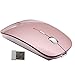 Tsmine Rechargeable 2.4G Slim Wireless Mouse, Optical Mice with USB Nano Receiver(Stored Within The Back of The Mouse) for Notebook, PC, Laptop, Computer, Windows/Android Tablet - Rose Gold