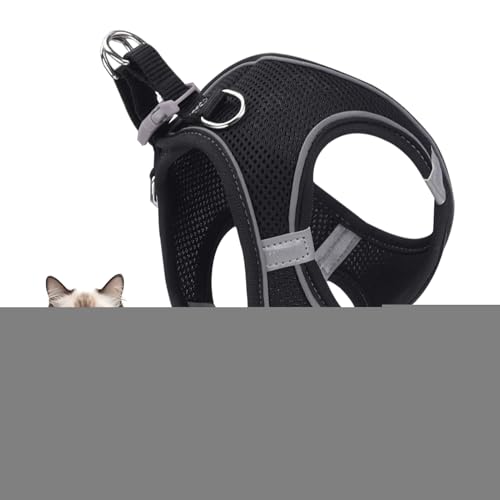 Lbgn[lX,\tgbVxXg ːSXgCvt | ^^^ybgp s AEghA nCLO