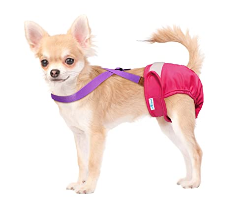 Image of PAW Inspired Dog Diaper Suspenders, Purple, X-Small /Small | Stretchy Adjustable Straps, Velcro Closures, For Female and Male Disposable and Washable Diapers