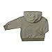 Sweatshirt for Teen Girls Boys 2PCS Solid Pullover Hooded Kids Long Sleeve Sweater & Shorts Outfits Set (C, 13-14 Years)