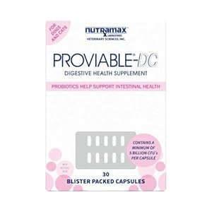 Nutramax Proviable Digestive Health Supplement Multi-Strain Probiotics and Prebiotics for Cats and Dogs – With 7 Strains of Bacteria, 30 Capsules