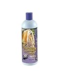 Super Cleaning and Conditioning pH Balanced Shampoo (16 oz) - 1 All Systems