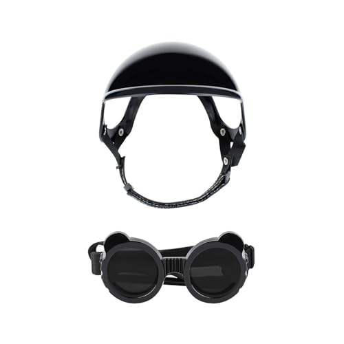 Casque de vélo réglable et lunettes pour protéger son chat
