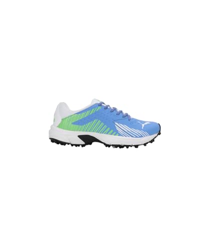 Image of Puma Men Cricket Power Cricket Shoe